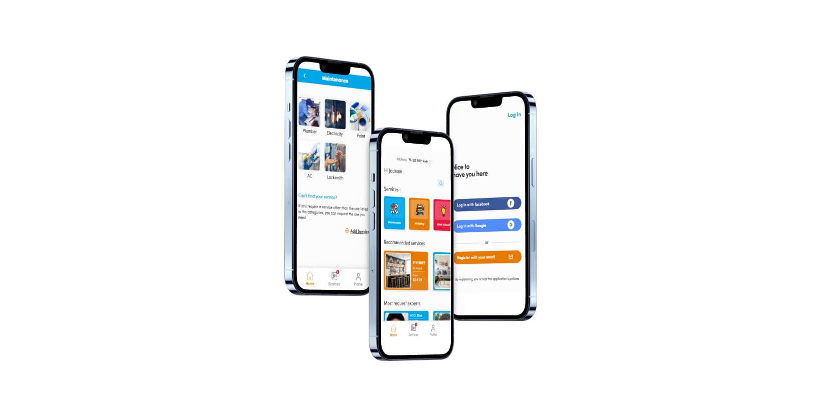 Segunda versión: tipos de servicio, home y login ágil